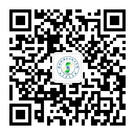 3328888/3633887/36