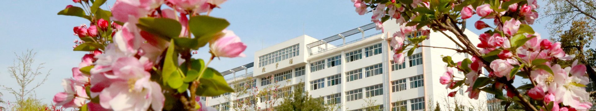 陕西省宝鸡市宝福路56号 邮编